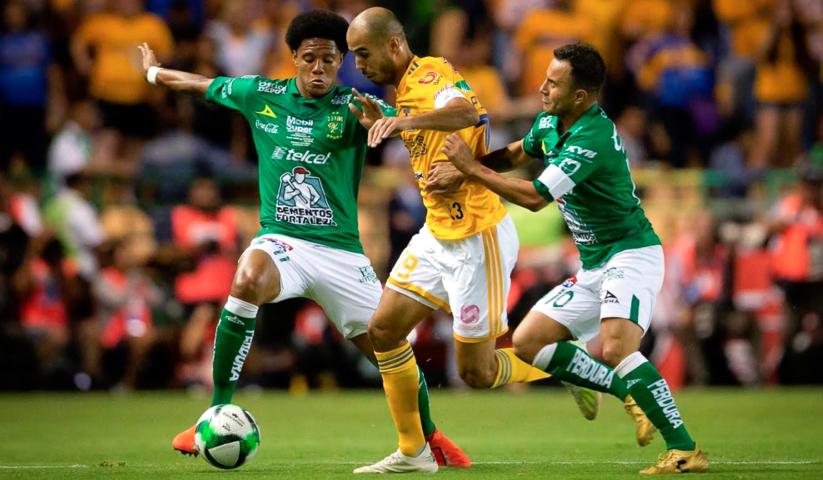 tigres leon