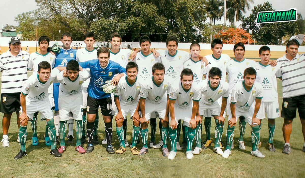 cachorros leon basicas