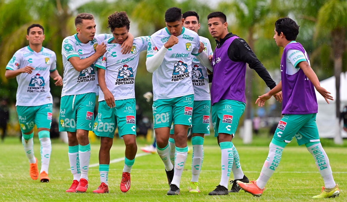 leon fuerzas basicas