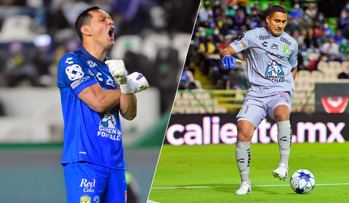 cota blanco leon