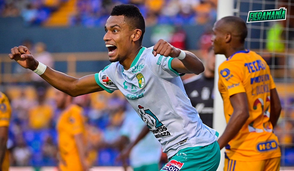 tigres leon